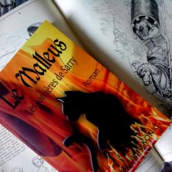 Le blog du malleus les sorcieres de sarry la recherche documentaire marie laure konig roman